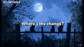 Where's the Change? Cats in the Night