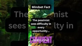 How to Optimize Your Success Through Empowering Perspectives