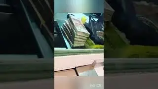 Автомобиль без кредита #лаймакадемия #автопрограмма #биткоин #бизнесидея #работадома #кредит #лайм