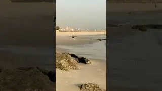 Morning walk at Beautiful beach in KUWAIT