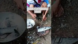 Fresh Fish for Sale