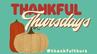 Happy Place || Thankful Thursday || Thankful for John, Jimmy Buffett and Bubbles || #thankfulthurs