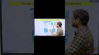 The Four Levels of Protein Structure:  Biochemistry for Beginners: The Ultimate Starter Guide