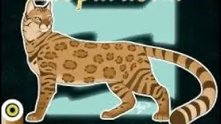 Read Aloud for Warriors: Leopardstar Speaks: A Deadly Alliance