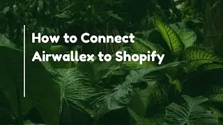 How to Connect Airwallex to Shopify