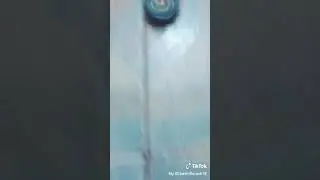 Bley Bley burst