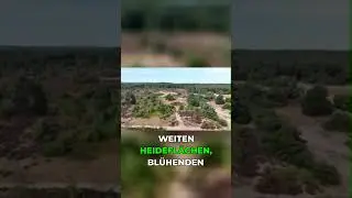 Von der Ostsee bis zu den Alpen: Deutschlands beste Naturorte! #urlaubstipps #deutschland