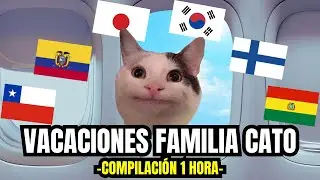 VACACIONES FAMILIA CATO 2 , compilación de 1 hora (meme de gatos)
