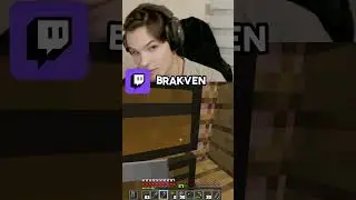 2 алабуги twitch.tv/brakven #meme #twitch #minecraft #алабугаполитех