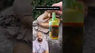 Вино, которому 500 лет?