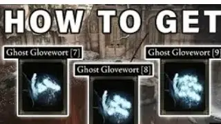 ELDEN RING ghost glovewort [7]