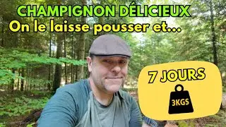J'AI LAISSÉ CE CHAMPIGNON POUSSER 7 JOURS 🍄 Et le résultat est incroyable ! (Sortie #5 – Été 2025)
