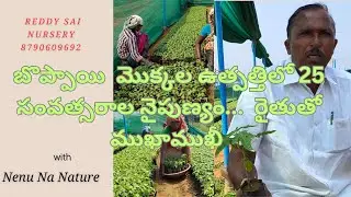 #Papayaforming in India #raitheraju #Kodur