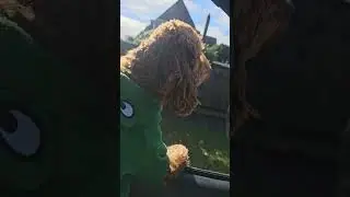 window down,  wind in my fur. #countrymusic #lukecombs #pets #dog #puppy #cavoodle #cute #car