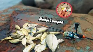 PEMANCING MANA YANG GAK IRI KALAU LIHAT SPOT SEGACOR INI‼️😬
