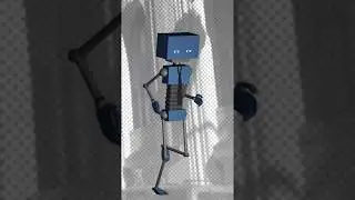 BotRun