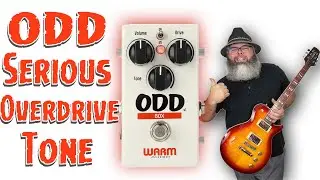 Warm Audio ODD Pedal - Jam and Tone Review
