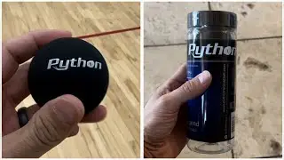 Python Balls Racquetball Review