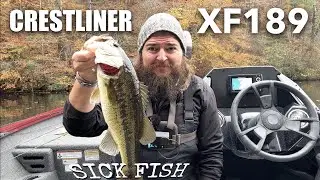 Worlds Tiniest Man Catches Bass Out Of New Bass Boat Crestliner XF189
