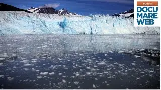 Documentario ambiente - Jacques Cousteau - Oltraggio a Valdez - La grande avventura del mare