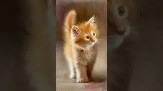 Котенок маслом #творчество #живопись #современнаякартина #art #искусство #painting #художник