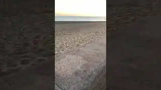RUNNING INTO THE SUNSET GERMAN SHEPHERD PUPPY BONNIE | SUNSET BEACH PARADISE ☀️🏝🐶