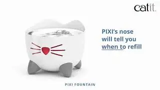 Catit Pixi Drinking Fountain