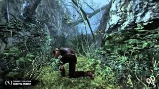 Tomb Raider: Campaign PC Gameplay ( Ultimate @ 1080p with an HD 7970 )