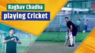 Raghav Chadha Playing Cricket | A Glimpse Beyond Politics 🏏