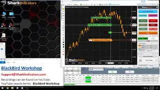 BlackBird Workshop - Moving Stop-loss to Breakeven After Target #1 is Hit