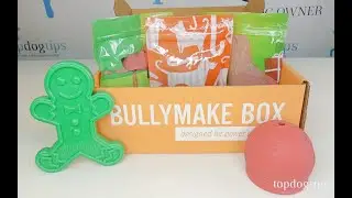 December 2020 Bullymake Dog Subscription Box Unboxing