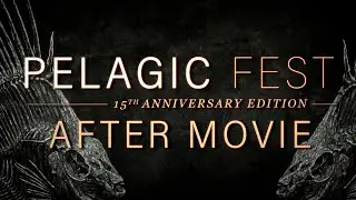 PELAGIC FEST 2024 - After Movie