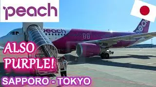PEACH AIRLINES FLIGHT REVIEW! | Sapporo - Tokyo | A320-200