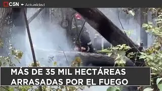 INCENDIOS en la PATAGONIA: docena de CASAS en PELIGRO