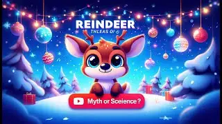 Reindeer: Myth or Science? The Real Facts Behind Santa&rsquo;s Helpers! 🦌❄️