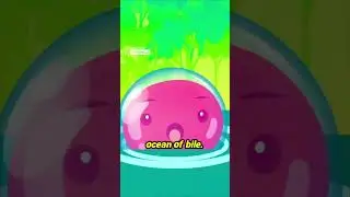 Inside the Ocean of Bile  A Toxic Tropical Resort