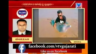 Valsad : A dolphin fish find in valsad coastal people getting surprised for this | Vtv News