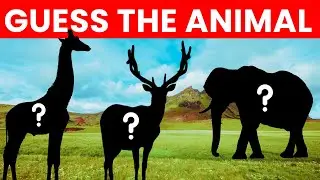 Guess the Animal by Silhouette 🐾 | Can You Get All 50 Right?