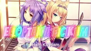 Ham Ko Ham - Ellopt&aacute;k a biciklim NIGHTCORE REMIX