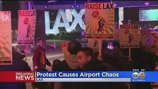 Labor Protest Disrupts Holiday Travel At LAX, 16 Arrested