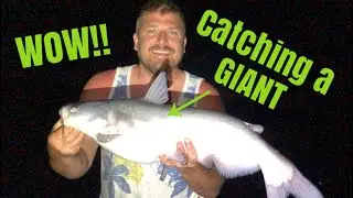 Catfish fishing in the dark In flooded River