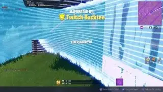 30pt Architect cup