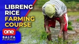 TESDA's Rice Extension Service Program