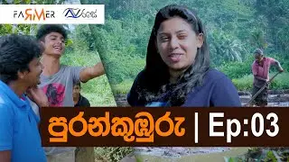 Puran Kumburu Vlog 03 | කලවාන පුරන්කුඹුරේ වී වැපිරීම