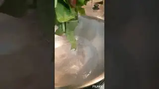 ASMR How to cook Fresh vegetables blanched with Boiling water no oil to use Oddly  Satisfying #ASMR