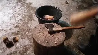 Горячий холодец Хаш.