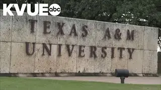 Some Texas universities using AI to reshape course discussions on race, gender: report