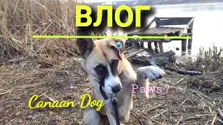 ВЛОГ / 2023 ГОД / НОВЫЙ ГОД / ХАНААНСКАЯ