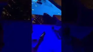 Pool night ❤️🏊&zwj;♀️
