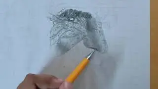Drawing hyper realistic nose ||Real-time||